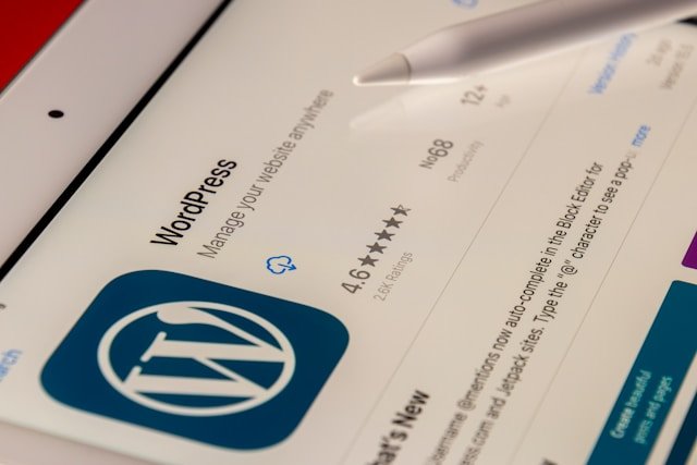 Mantenimiento WordPress